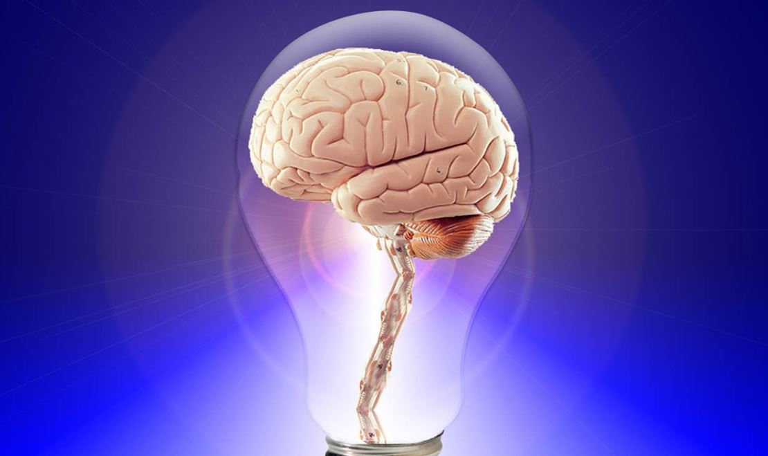žárovka a mozek
